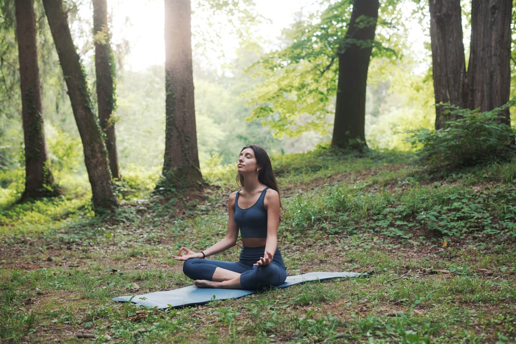 Meditando en el bosque